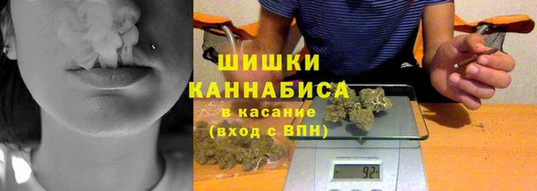 прущие грибы Кодинск