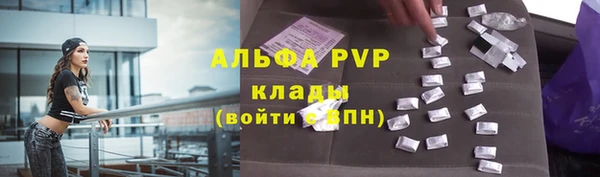 прущие грибы Кодинск