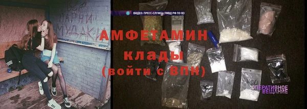 прущие грибы Кодинск