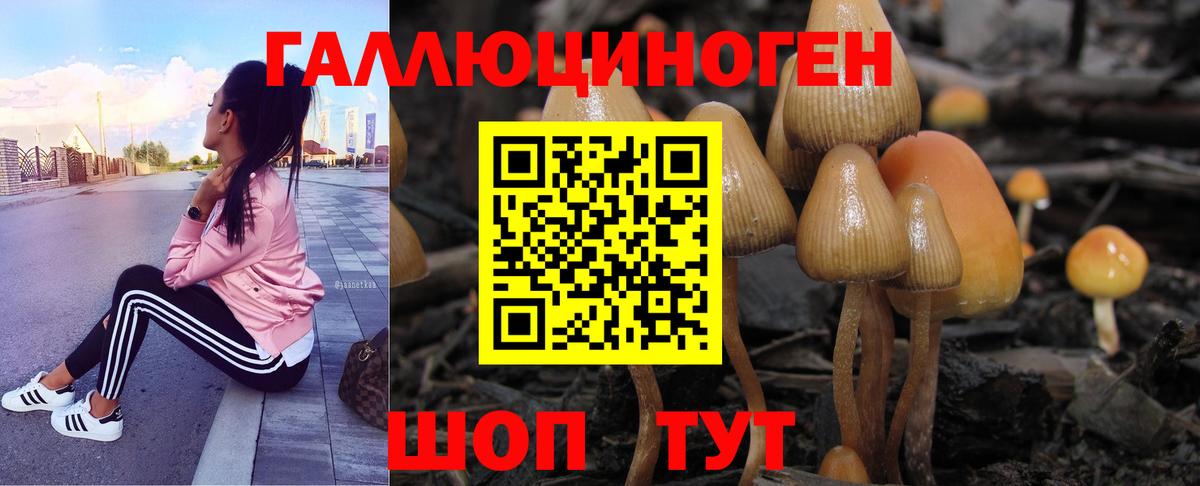 Галлюциногенные грибы мухоморы Удомля